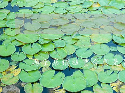 淘宝店铺租赁合同是否违法