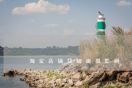 淘宝店铺贷款逾期影响 淘宝店铺贷款逾期影响