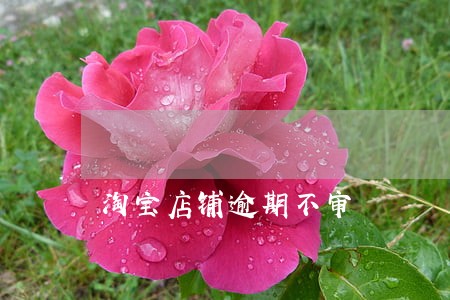 淘宝店铺逾期不审 淘宝店铺逾期不审