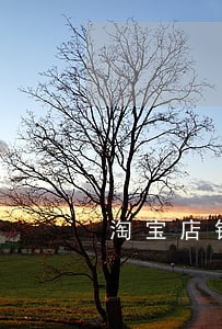 淘宝店铺逾期复核被关