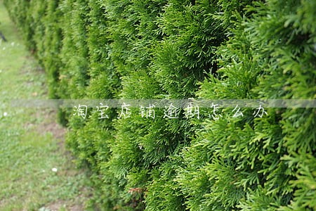 淘宝店铺逾期怎么办 淘宝店铺逾期怎么办