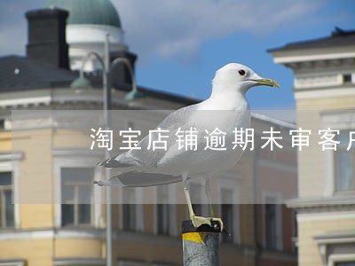 淘宝店铺逾期未审客户无法付款 淘宝店铺逾期未审客户无法付款