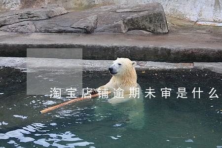 淘宝店铺逾期未审是什么意思 淘宝店铺逾期未审是什么意思