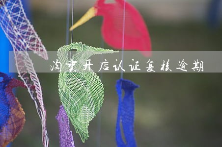 淘宝开店认证复核逾期 淘宝开店认证复核逾期