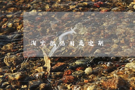 淘宝微信用是逾期 淘宝微信用是逾期