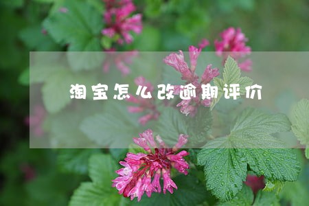 淘宝怎么改逾期评价 淘宝怎么改逾期评价
