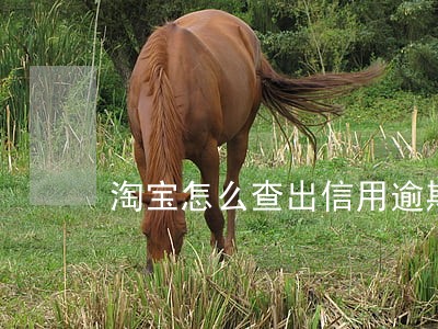 淘宝怎么查出信用逾期 淘宝怎么查出信用逾期