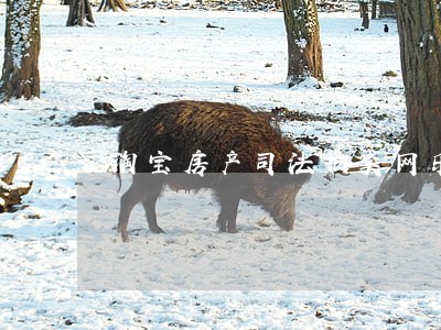 淘宝房产司法拍卖网乐从 淘宝房产司法拍卖网乐从