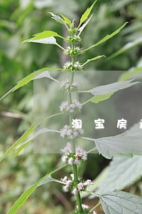 淘宝房产司法拍卖网江西新余 淘宝房产司法拍卖网江西新余
