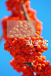 淘宝房产司法拍卖重庆万州网 淘宝房产司法拍卖重庆万州网