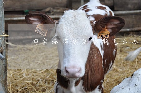淘宝承诺送达逾期怎么办 淘宝承诺送达逾期怎么办