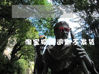 淘宝投诉逾期不发货 淘宝投诉逾期不发货
