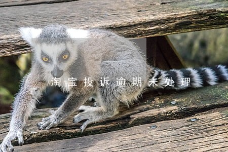 淘宝投诉逾期未处理 淘宝投诉逾期未处理