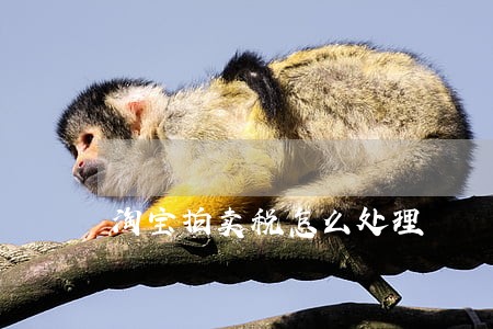淘宝拍卖税怎么处理