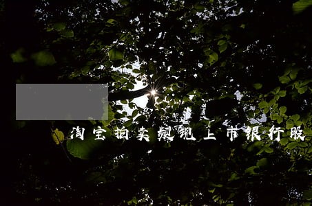 淘宝拍卖频现上市银行股权 淘宝拍卖频现上市银行股权