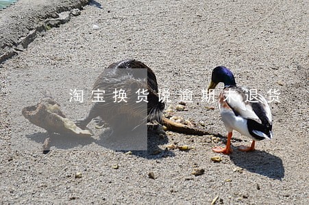 淘宝换货说逾期未退货 淘宝换货说逾期未退货