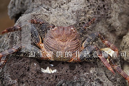 淘宝提供的非恶意逾期可以用吗 淘宝提供的非恶意逾期可以用吗