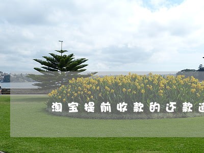 淘宝提前收款的还款逾期 淘宝提前收款的还款逾期