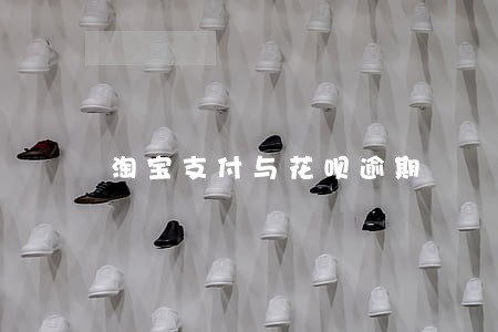 淘宝支付与花呗逾期 淘宝支付与花呗逾期
