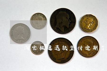 淘宝极速退款垫付逾期了 淘宝极速退款垫付逾期了