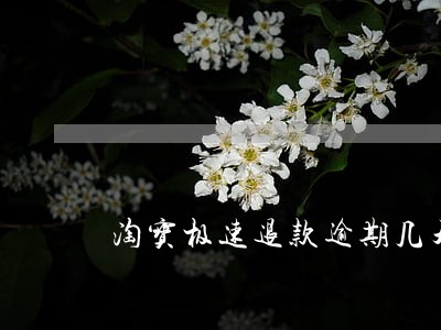 淘宝极速退款逾期几天上征信 淘宝极速退款逾期几天上征信