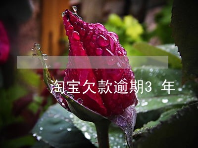 淘宝欠款逾期3年