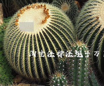 淘宝法律法规千万商品 淘宝法律法规千万商品