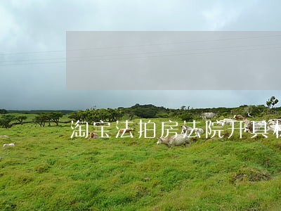 淘宝法拍房法院开具材料 淘宝法拍房法院开具材料