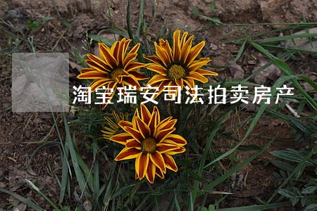 淘宝瑞安司法拍卖房产 淘宝瑞安司法拍卖房产