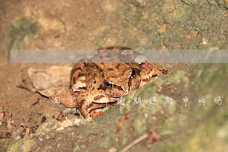 淘宝申诉逾期还能申诉吗 淘宝申诉逾期还能申诉吗