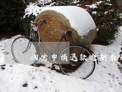 淘宝申请退款逾期未寄出 淘宝申请退款逾期未寄出
