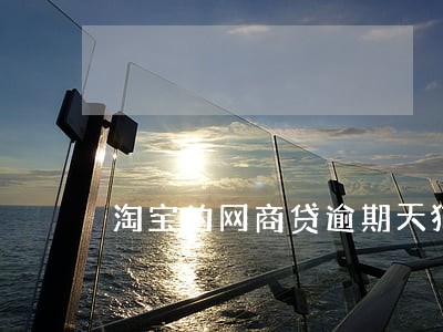 淘宝的网商贷逾期天猫影响吗 淘宝的网商贷逾期天猫影响吗