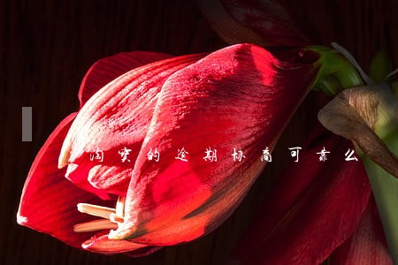 淘宝的逾期协商可靠么 淘宝的逾期协商可靠么