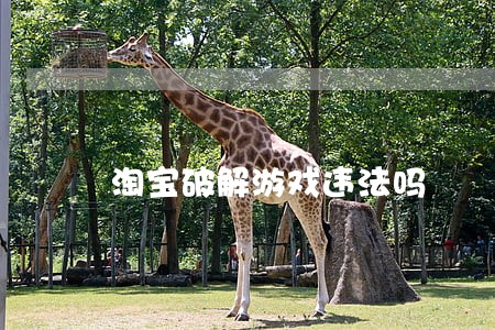 淘宝破解游戏违法吗