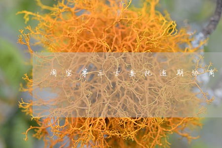 淘宝第三方委托逾期协商 淘宝第三方委托逾期协商