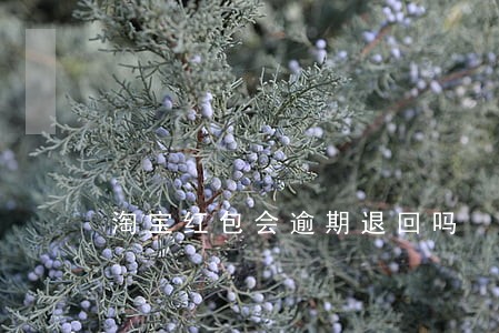 淘宝红包会逾期退回吗 淘宝红包会逾期退回吗