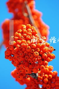 淘宝经营贷款逾期征信几年 淘宝经营贷款逾期征信几年
