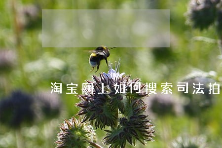 淘宝网上如何搜索司法拍卖 淘宝网上如何搜索司法拍卖