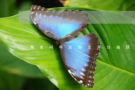 淘宝网司法拍卖平台南昌