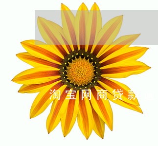 淘宝网商贷款逾期10天 淘宝网商贷款逾期10天
