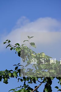 淘宝网商贷款逾期三天 淘宝网商贷款逾期三天