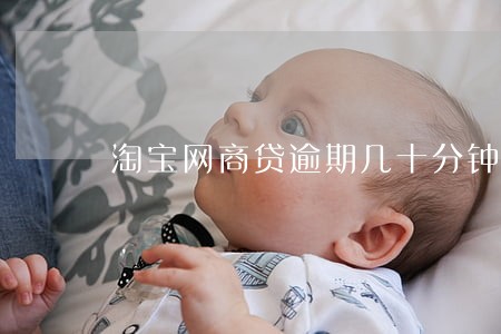 淘宝网商贷逾期几十分钟 淘宝网商贷逾期几十分钟