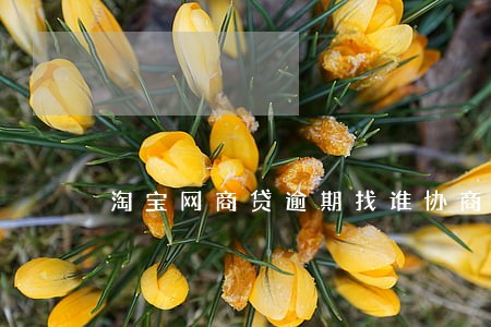 淘宝网商贷逾期找谁协商 淘宝网商贷逾期找谁协商