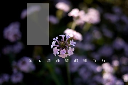 淘宝网商贷逾期百万 淘宝网商贷逾期百万