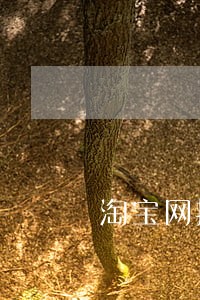 淘宝网拍卖平台东匠 淘宝网拍卖平台东匠