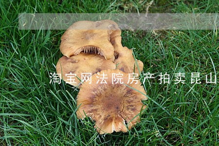 淘宝网法院房产拍卖昆山市 淘宝网法院房产拍卖昆山市