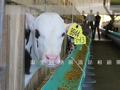 淘宝网络崩溃是和逾期有关系吗