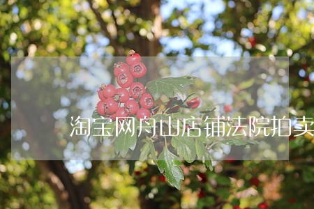 淘宝网舟山店铺法院拍卖 淘宝网舟山店铺法院拍卖