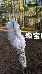 淘宝网诉讼状 淘宝网诉讼状