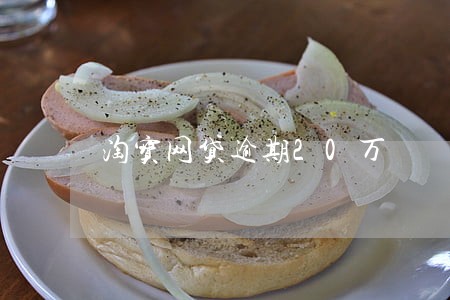 淘宝网贷逾期20万 淘宝网贷逾期20万